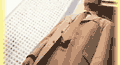 �M�p�摜